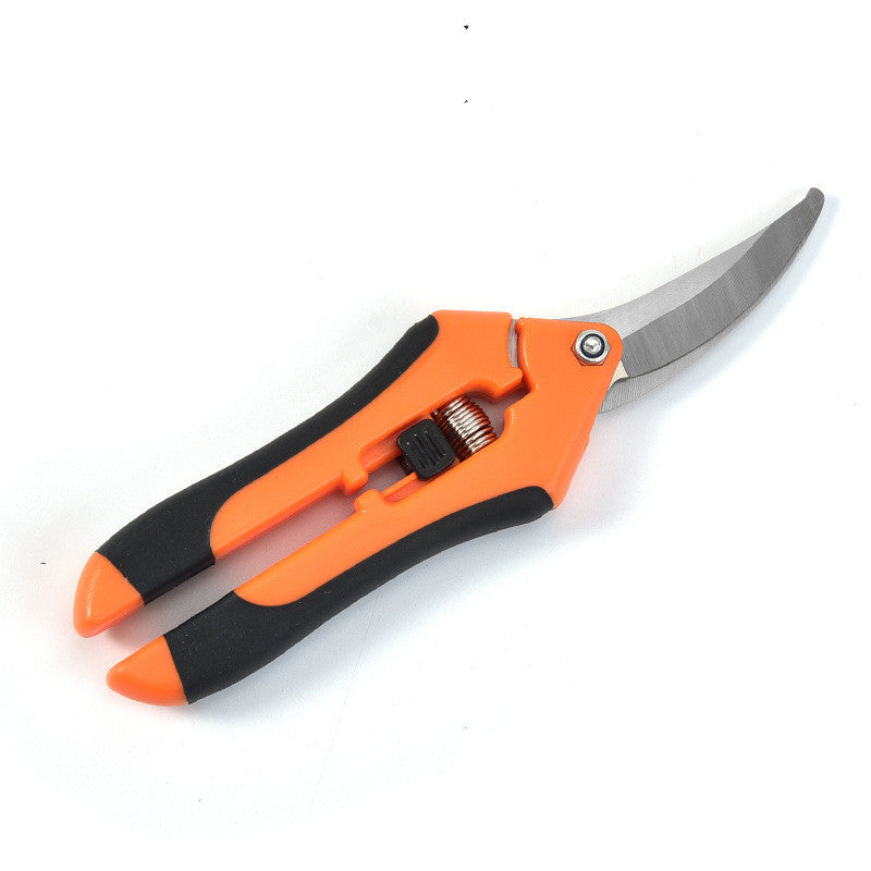 Hydroponic Shears for Pruning Fine Branches