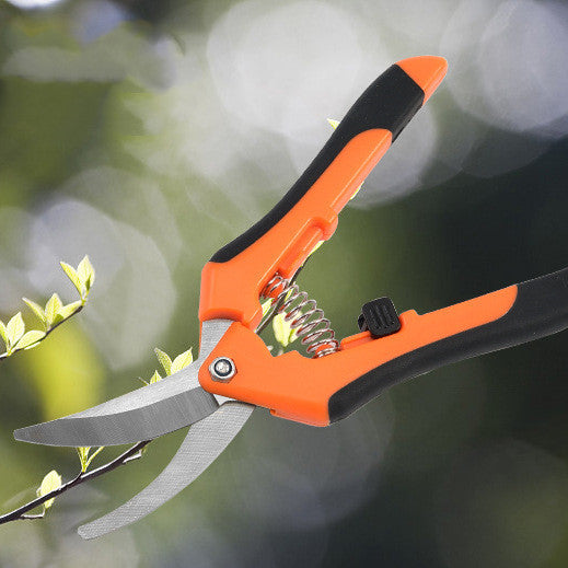 Hydroponic Shears for Pruning Fine Branches